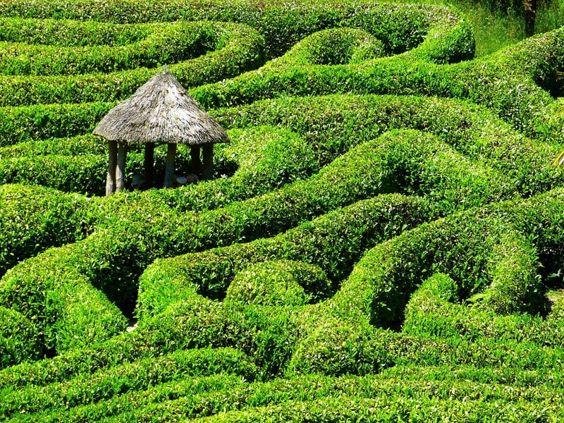 Labyrinth Maze